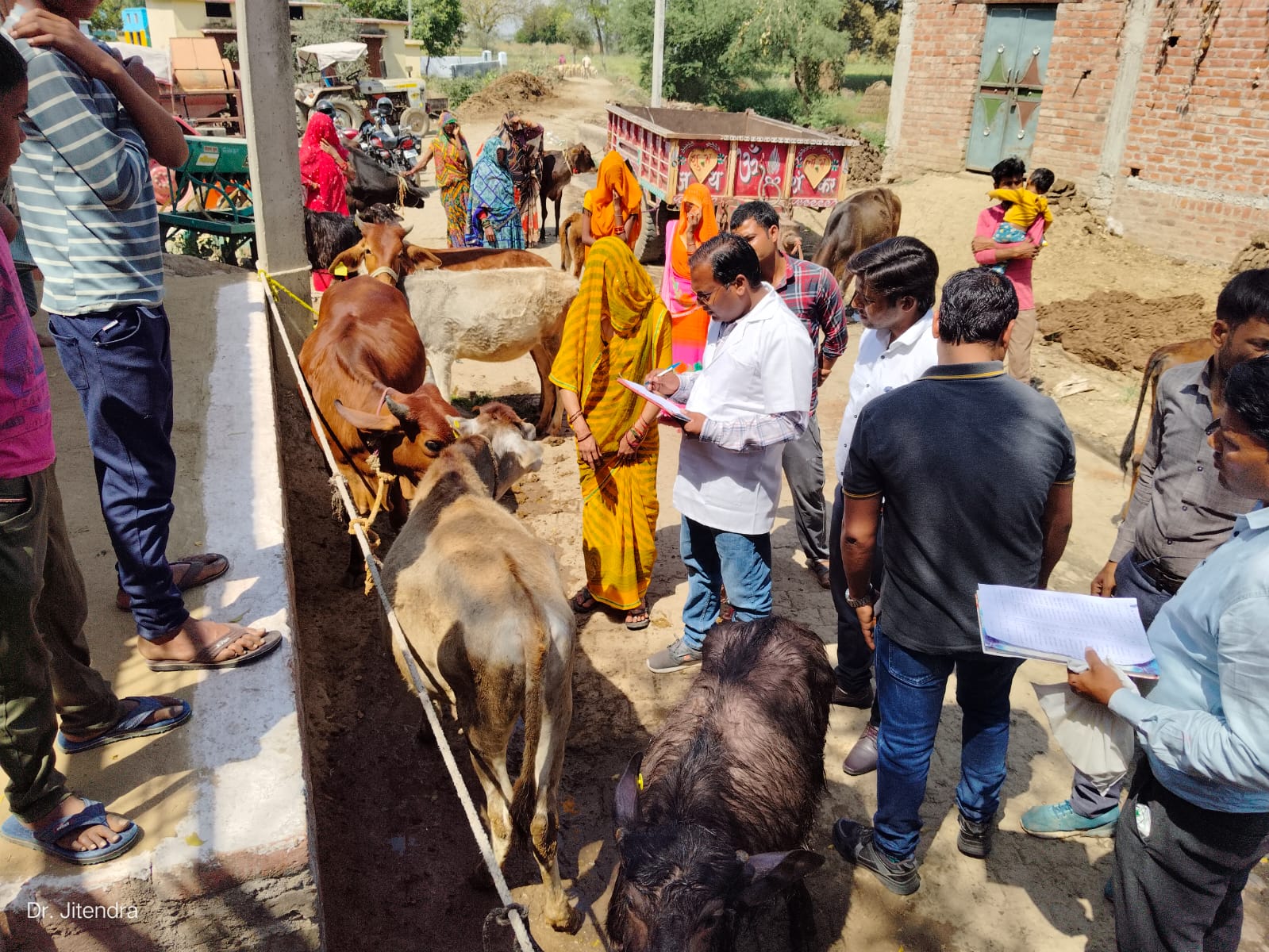 Today we conducted one calf show at MPP - Nainpura, MCC- Jalaun (3)