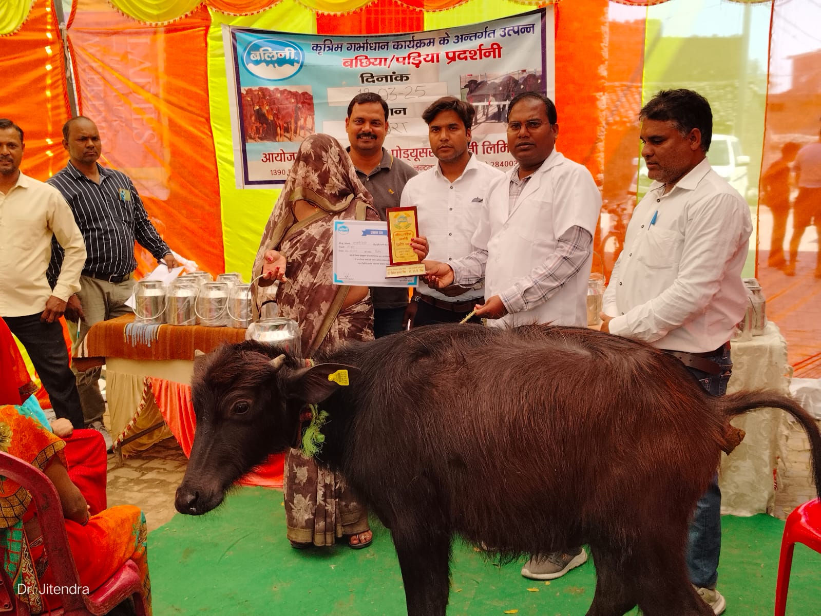 Today we conducted one calf show at MPP - Nainpura, MCC- Jalaun