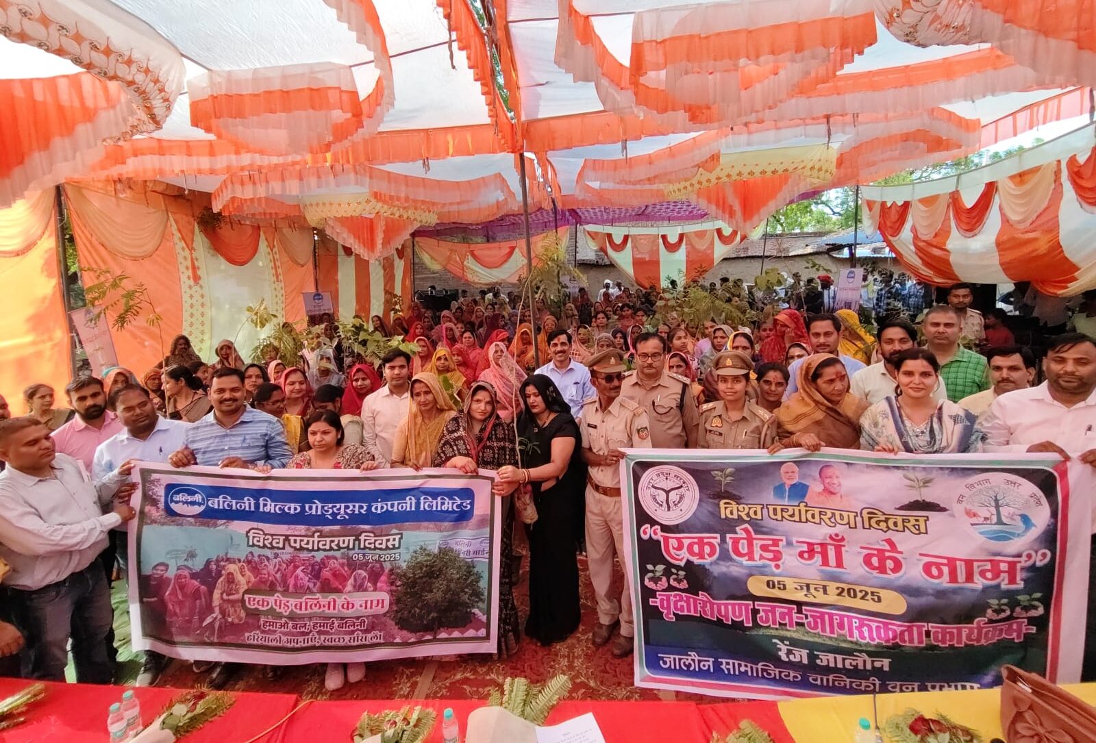 WhatsApp Image 2025-06-05 at 21.01.45